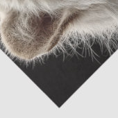 Papier Mousseline Découpage Regal White Tiger Portrait Imaginaire No (Détail)