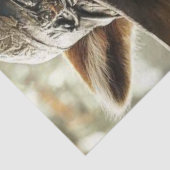 Papier Mousseline Découpage Robin des Bois Raccoon Héros des Bois (Détail)