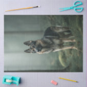 Papier Mousseline Découpage Shepard allemand dans Misty Forest (Artisanat)