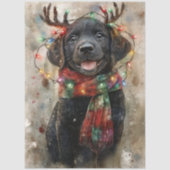 Papier Mousseline Decoupage Special Black Lab Pup Noah (Recto)