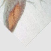 Papier Mousseline Découpage Steampunk Rabbit équitation Moto (Détail)