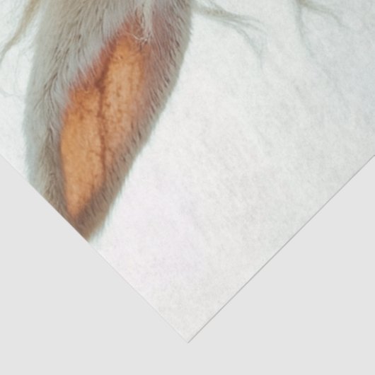 Papier Mousseline Découpage Steampunk Rabbit équitation Moto (Détail)