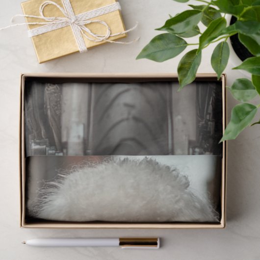 Papier Mousseline Découpage Steampunk Standard PoodBiker (Cadeau)