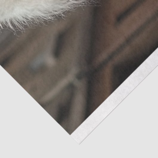 Papier Mousseline Découpage Steampunk Standard PoodBiker (Détail)