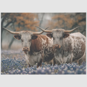 Papier Mousseline Découpage Texas Longhorns Champ Bluebonnet Fleurs