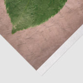 Papier Mousseline Découpage Tissu Papier Vintage Ranunculus Bouqet (Détail)