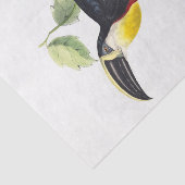 Papier Mousseline Découpage Toucan (Détail)
