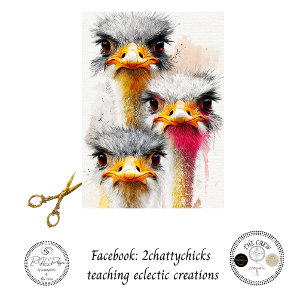 Papier Mousseline Découpage Trio d'Émeus Australiens Art Animalier