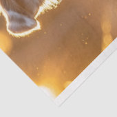 Papier Mousseline Découpage Un Berger Australien En Course (Détail)