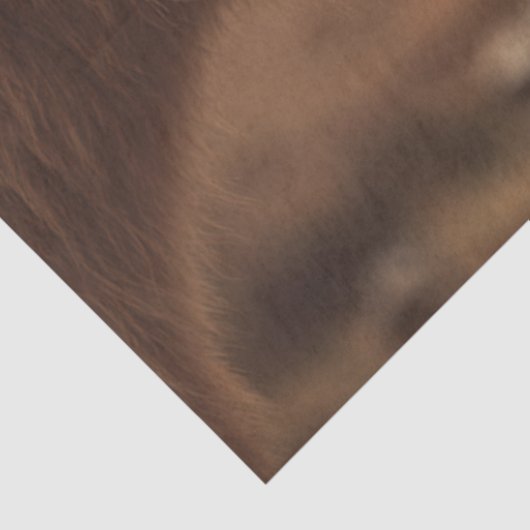 Papier Mousseline Découpage Vache et veau Highland Nuzzing (Détail)