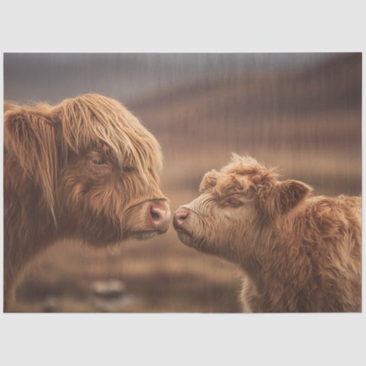Papier Mousseline Découpage Vache et veau Highland Nuzzing (Recto)