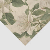 Papier Mousseline Découpage vintage de sucettes de miel (Détail)