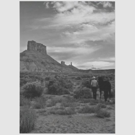 Papier Mousseline Decoupage Western Solitude Lisa Chappell (Recto)