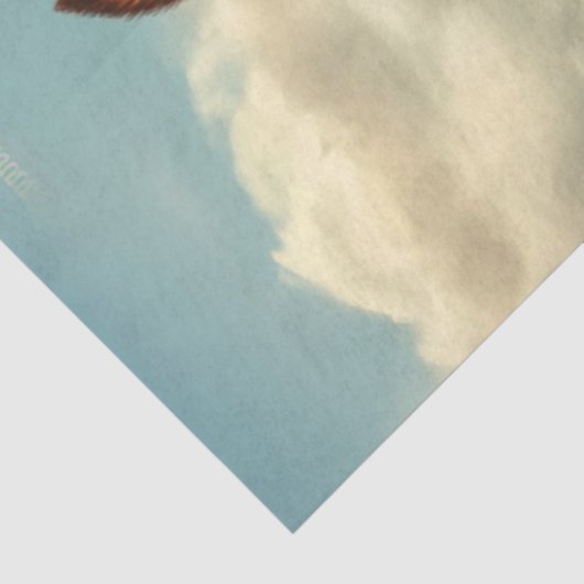 Papier Mousseline Découpage Whimsical Funny Animal Pose (Détail)