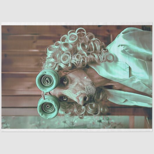 Papier Mousseline Découpage Whimsical habillé de chien d'oiseaux (Recto)