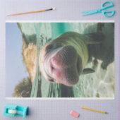 Papier Mousseline Découpage Whimsical Ocean Bruyant Manatee (Artisanat)