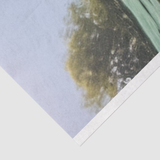 Papier Mousseline Découpage Whimsical Ocean Bruyant Manatee (Détail)