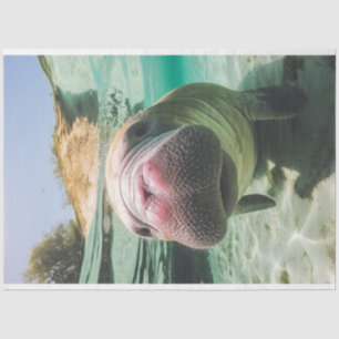 Papier Mousseline Découpage Whimsical Ocean Bruyant Manatee