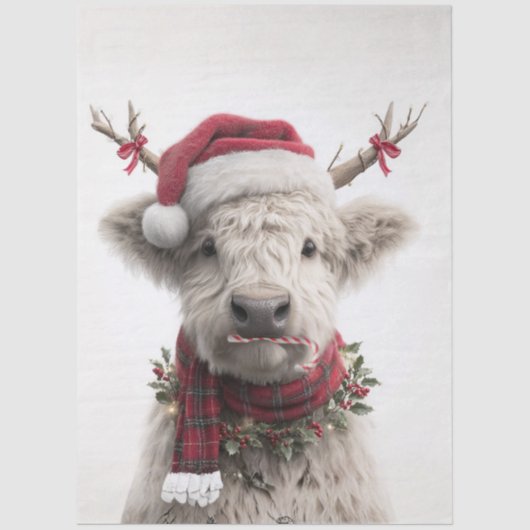 Papier Mousseline Decoupage White Highland Calf Antlers Candy Cane (Recto)