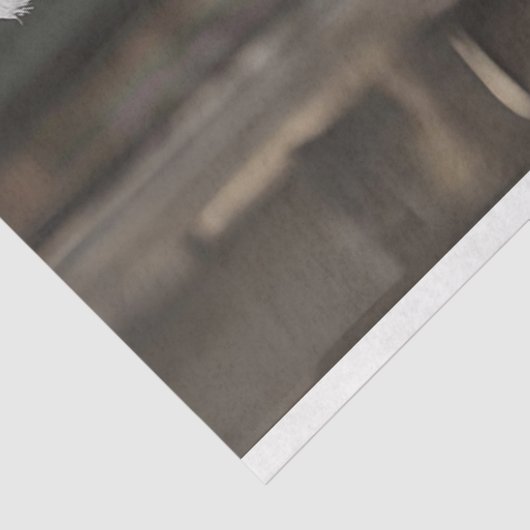 Papier Mousseline Découpage White Lion Mode Show (Détail)