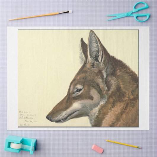Papier Mousseline Découpage Wolf Ephemera (Artisanat)