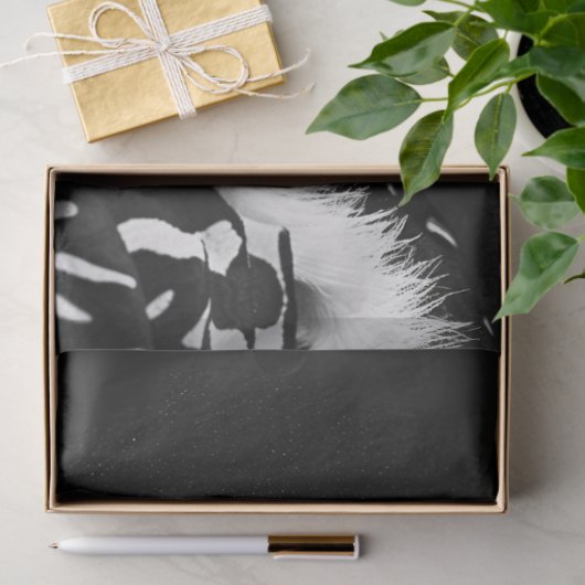 Papier Mousseline Découpage Zebra Glam Rock Star (Cadeau)