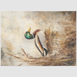 Papier Mousseline Dédoupage Canard-colard Canard Flottante Grass Sag