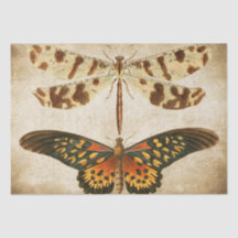 Dédoupage de papillon de libellule