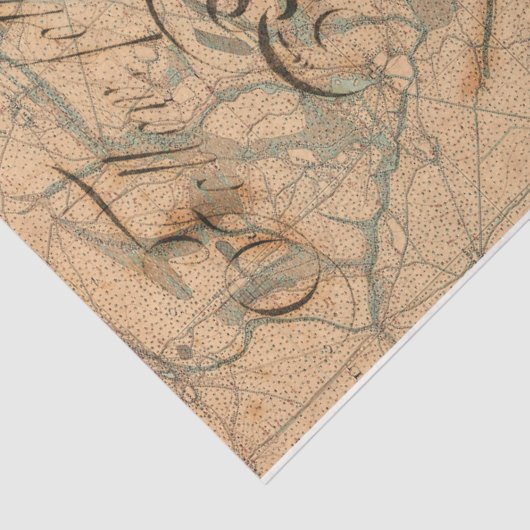 Papier Mousseline Déesse de la mer (Détail)