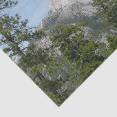 Papier Mousseline Demi-dôme de Panorama Trail II (Détail)