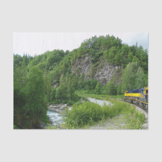 Papier Mousseline Denali Express Alaska Train Vacation Photographie (Recto)