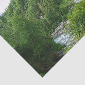 Papier Mousseline Denali Express Alaska Train Vacation Photographie (Détail)