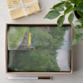 Papier Mousseline Denali Express Alaska Train Vacation Photographie (Cadeau)