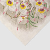 Papier Mousseline Dendrobium Falconeri (orchidée) par Jean Jules Lin (Détail)