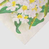 Papier Mousseline Dendrobium Galliceanum (orchidée) par Jean Linden (Détail)