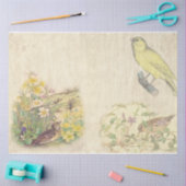 Papier Mousseline Design vintage Bird Series 1 (Artisanat)
