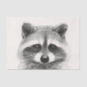 Papier Mousseline Dessin au crayon de Raccoon