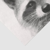 Papier Mousseline Dessin au crayon de Raccoon (Détail)
