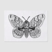 Papier Mousseline Dessin Brahmin moth (Recto)