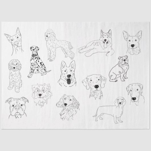 Papier Mousseline Dessin de chien (Recto)