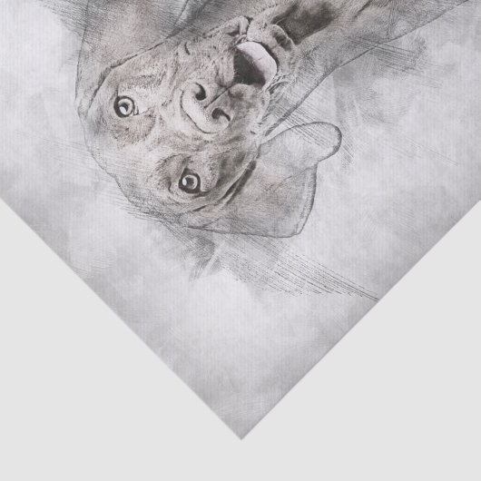 Papier Mousseline Dessin de Chien Vizsla (Détail)