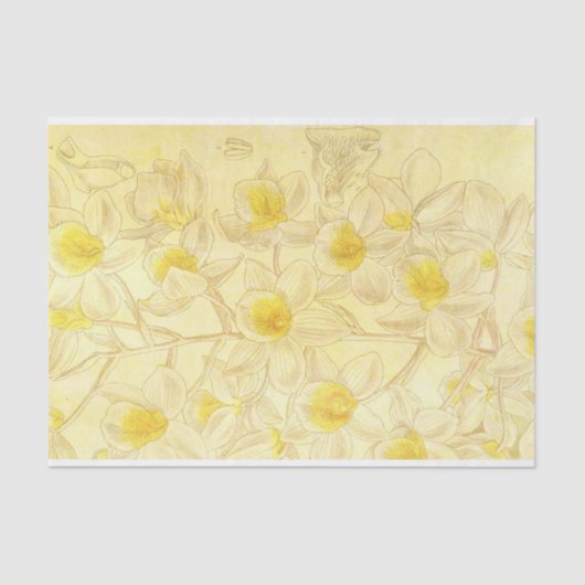 Papier Mousseline Dessin de fleurs anciennes avec découpage jaune (Recto)