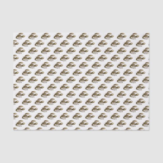 Papier Mousseline Dessin de homard vintage no 3 (Recto)