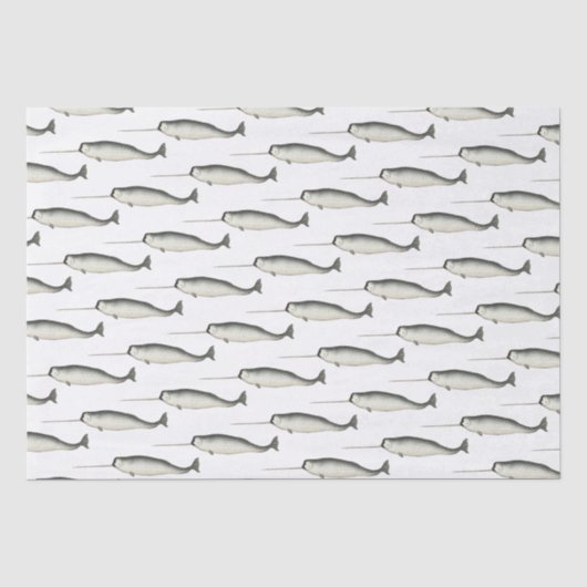 Papier Mousseline Dessin de narval ancien #3 (Recto)