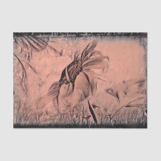 Papier Mousseline Dessin de tournesol Sepia Vintage (Recto)