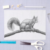 Papier Mousseline Dessin d'écureuil (Artisanat)