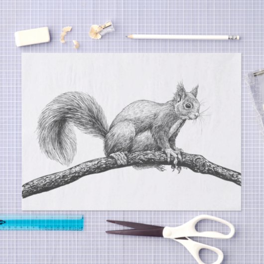Papier Mousseline Dessin d'écureuil (Artisanat)