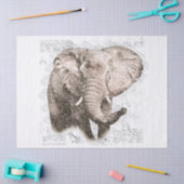 Papier Mousseline Dessin des éléphants (Artisanat)