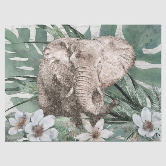 Papier Mousseline Dessin des éléphants (Recto)