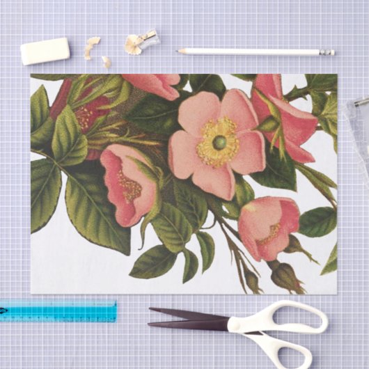 Papier Mousseline Dessin d'illustration d'art Rose antique (Artisanat)